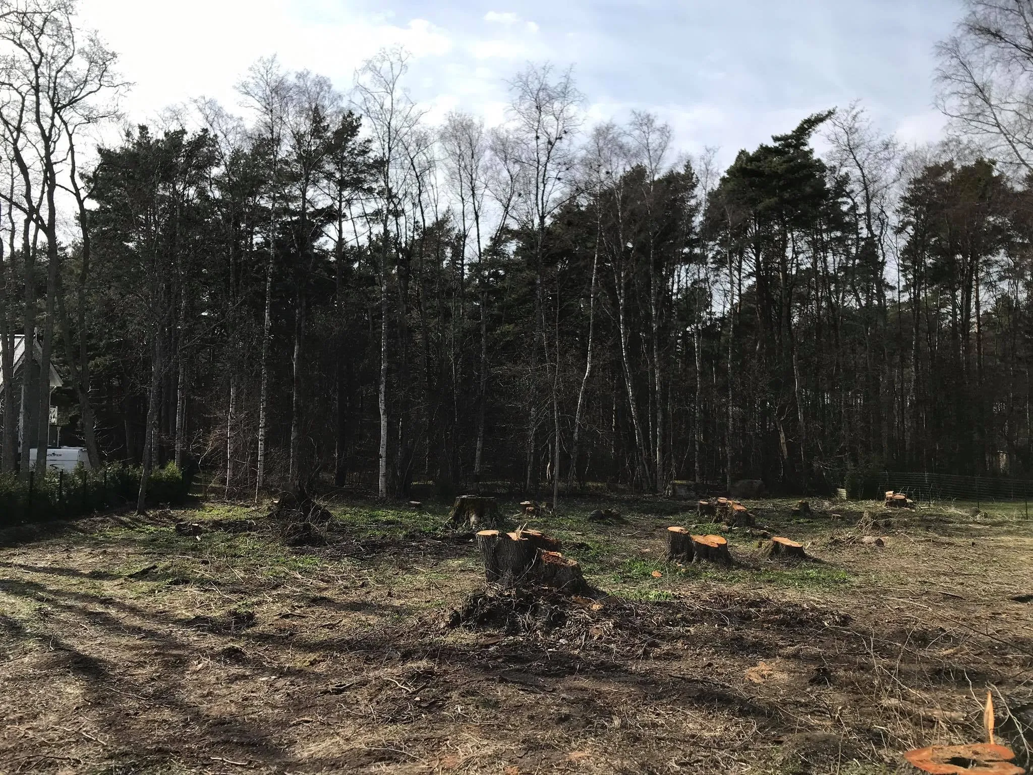 Kruntide puhastamine